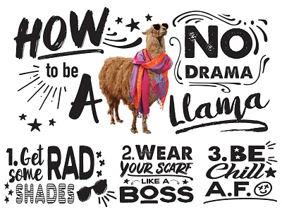 No Drama Llama boss chill design illustration llama scarf sunglasses typography