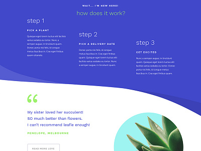 Plant Delivery Service Concept - Desktop asymmetrical blue bold colour curved curves green plants purple ui website