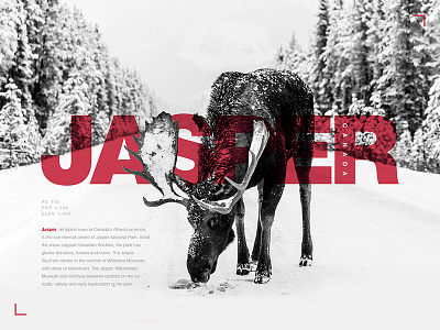 Typography Exercise #02 | Jasper, Canada design graphics grey layout moose poster red typography