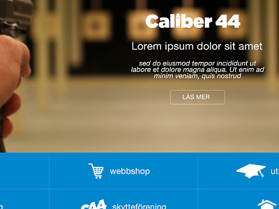 Caliber44 Webdesign