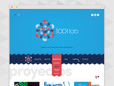 Loorlab site