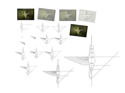 Hummingbird tattoo Process geometric tattoo