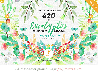 Greenery Watercolor Eucalyptus 3 botanical ethnic floral handpainted illustration leaf monogram nature spring watercolor wedding wild