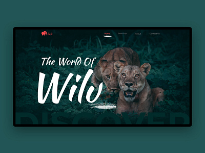 Wildlife Website Banner banner design dark ui ux design uidesign ux design web design wild wild animal