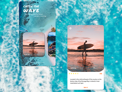 Catch The Wave algeria animation branding colors designer logo ui ui design uidesign uiux waves webdesign webdesigner webdesigning webdesigns