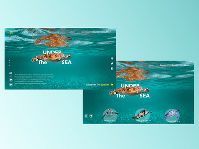 sea life algeria animation blue colors design designapp designer graphic graphicdesign logo sea turtles ui ui design ui designs uidesign uiux web design webdesign webdesigner