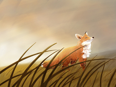 Happy Fox children book illustration childrens book childrens illustration drawing field fields fox illustration nature photoshop photoshop art sunrise