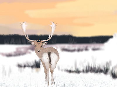 Snow Deer