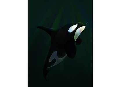 Orca