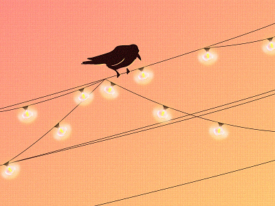 Sunset Crow illustration illustrator light lightbulb lightbulbs lines silhouette simple design string sunset