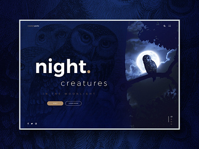 Night Creatures website design concept