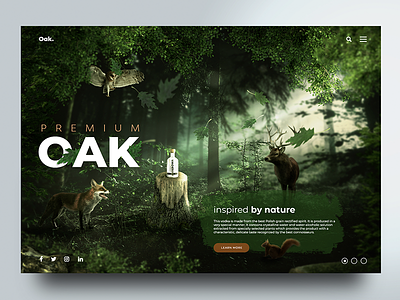 Oak Vodka website design concept digital ui webdesign website