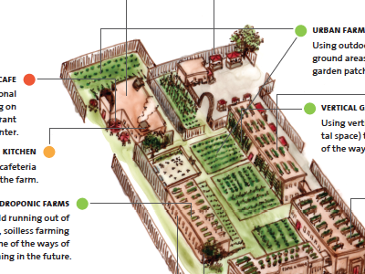 Farm to Table: elevation view floor plan illustration map watercolor