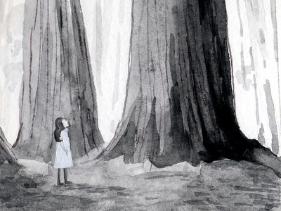 The Red Woods illustration sketch watercolor