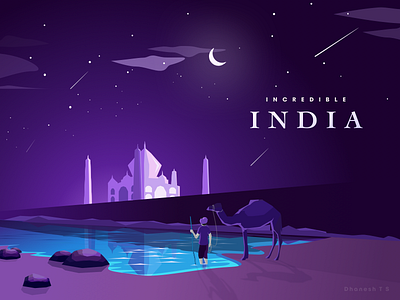 Incredible INDIA camel colors creativity india land monuments night people sky stars water