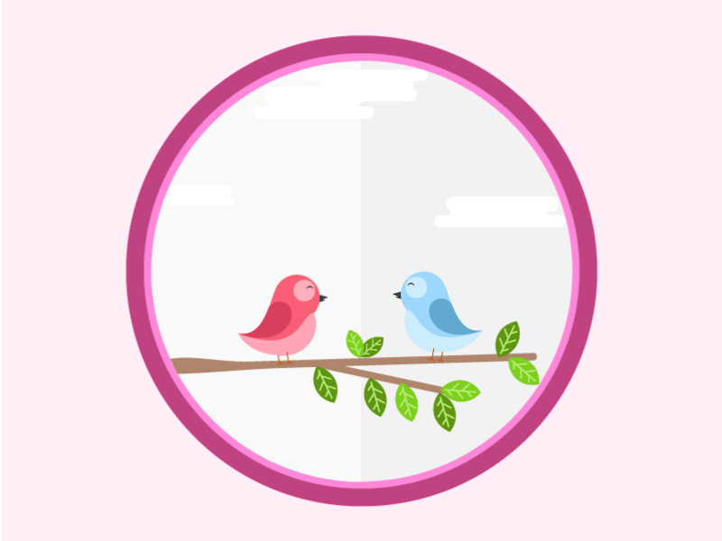 Love Birds design illustration motion animation vector