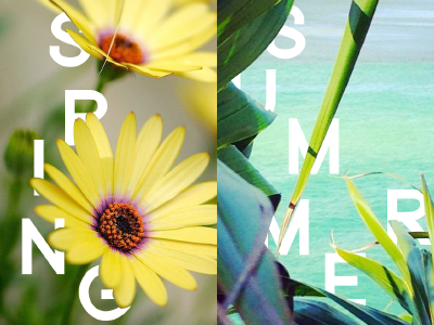 Seasons typography 1/2 adobe art digital fall lettering photoshop seasons spring summer type typography winter