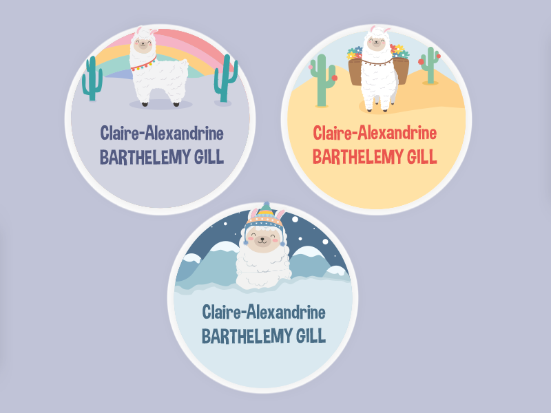 Lama Labels vector illustration winter snow desert rainbow labels label animal alpaga lama vector nature design colors illustrator illustration drawing art digital adobe
