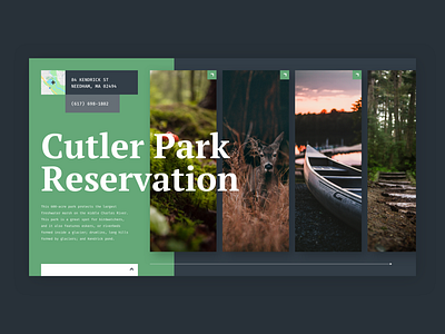 Cutler Park design landing page nature typography ui ux visual design