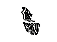 Logo / Time Crisis