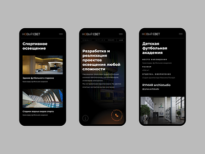 Company "New light" branding design mobile ui ux web website