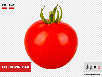 Tomato free freebie photo