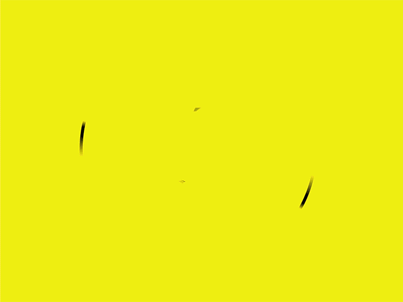 NJWP 2d Logo Animation vector 2d intro logotype reveal stinger opener logo animation