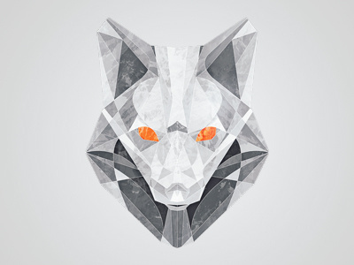 Fox Textured animal fox geometric grey greyscale illustration orange texture