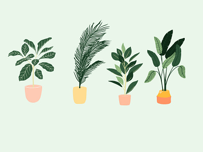 Plants