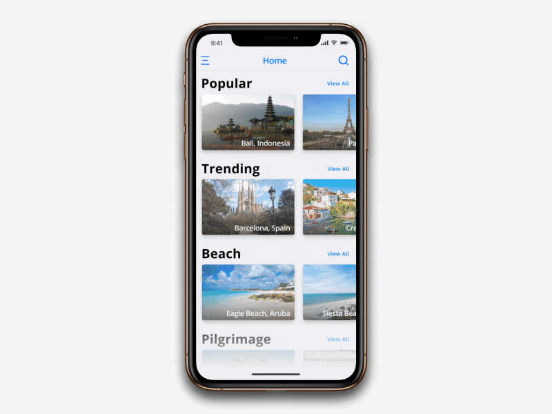 Travel App Animation