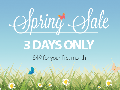 Spring Sale 2015 Header email header ziprecruiter