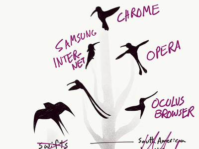 The great evolutionary chart of browsers browsers hummingbirds swifts