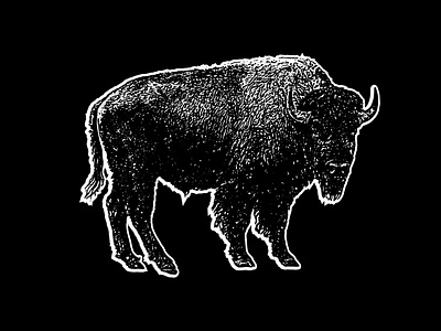 Bison