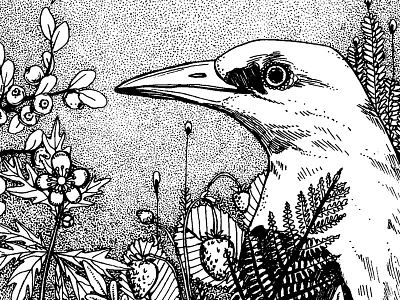 oriolus bird drawing fineliner flowers forest fruits illustration oriolus plants yellow
