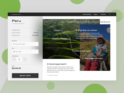 Web UI | Luxury Trip Booking booking system ui ux webdesign