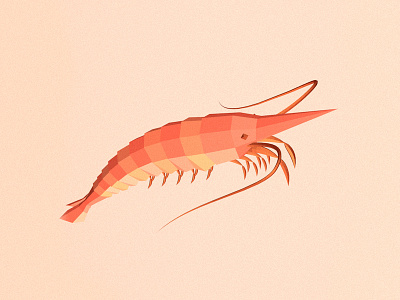 Caridea 3d c4d cinema4d illustration isometric sea shrimp underwater