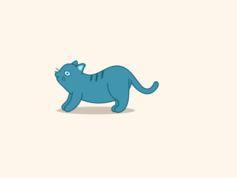 Hello Dribbble animation cat cute animal hello dribble illustration