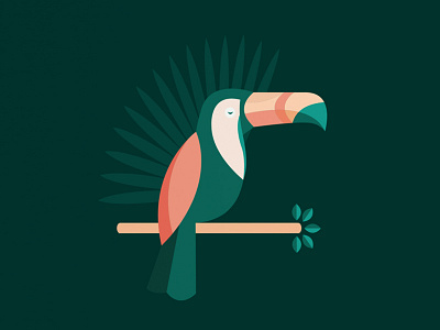 Toucan birds illustration rainforest toucan tropical vector zoo
