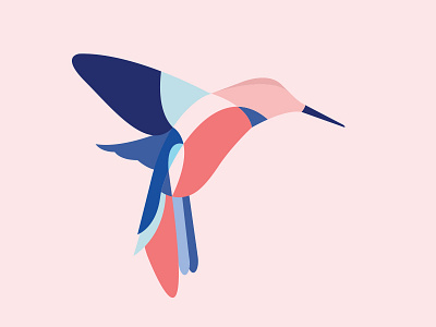 Hummingbird bird colour flat fly hummingbird illustration vector