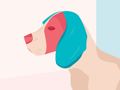 Beagle beagle colour dog flat illustration vector