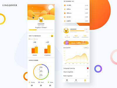 Study Report app design illustration learn report study ui 插图 设计