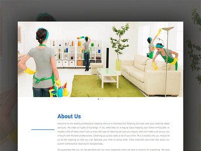 Cleaning service company's website design and develop