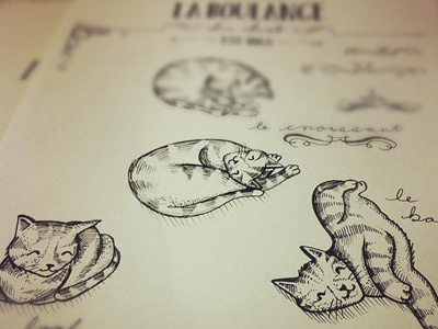 Cats cat drawing ink