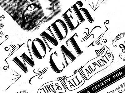 Wonder cat v2 cat ephemera poster screenprint typography vintage