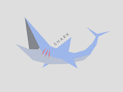 Shark blue fish ocean sea shark