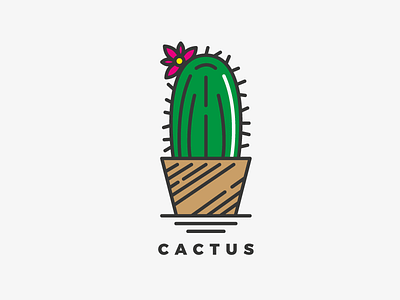 Cactus