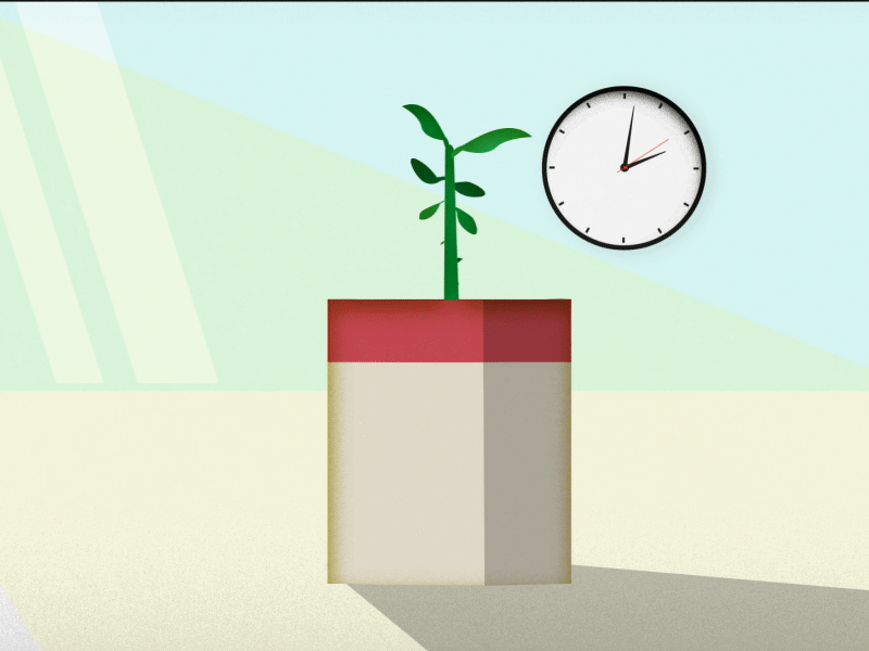 Money Plant clock growth illustration plant time