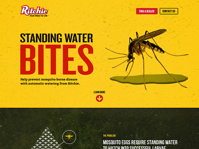 Standing Water Bites awareness design landing page mosquito product responsive ui water web web design website