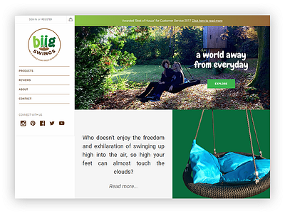 Biig Swings Website branding creative creative website design page landing page site design swings website design