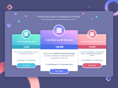 Web audit pricing plan